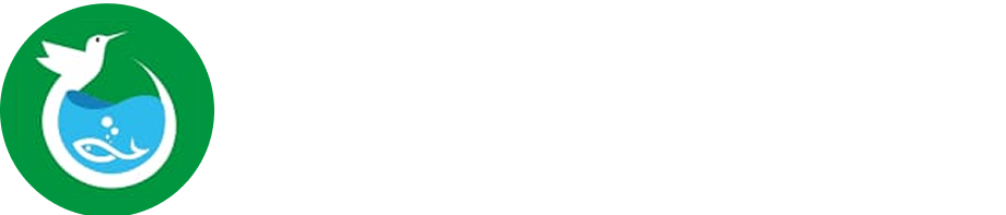 Animaux Pets Hub