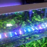 AQUARIUM LIGHT