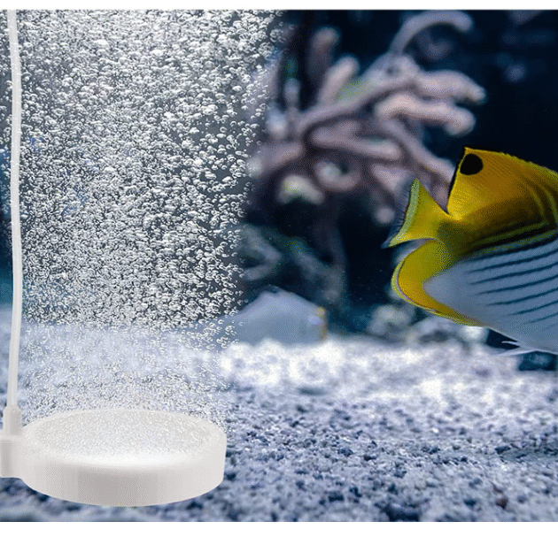 BFA 50 White Ceramic Round Air stone Disc – Quiet Bubble Oxygenator for Fresh & Saltwater