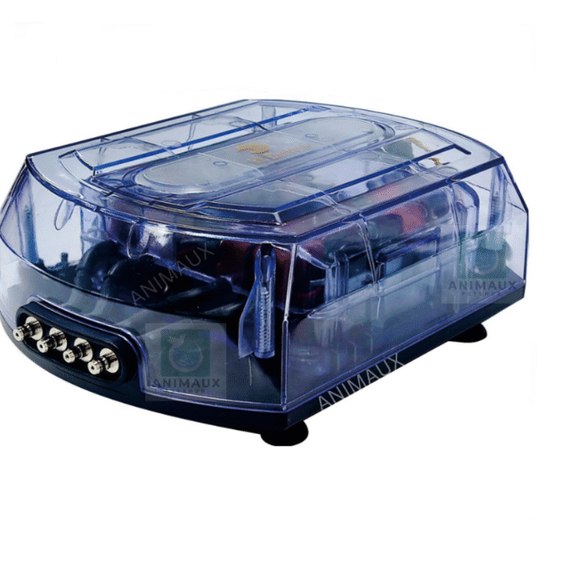 RS 483 4 Way Air pump (12 W, 16L-MIN) Aquarium Air Pump | Oxygen Pump for Fish Tank | Fish Tank Filter with Oxygen | Aquarium Water Purifier | Aquarium Accessories All