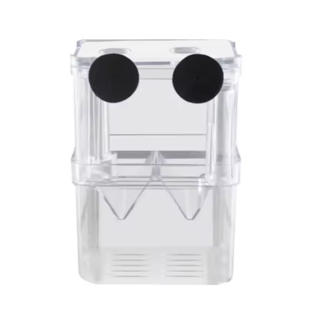 Guppy Double Deck Breeding Box (Large) – 13x10x7cm | Transparent Aquarium Isolation & Breeding Tank for Fish, Fry & Betta | Sturdy, Safe & Easy to Use with Suction Cups