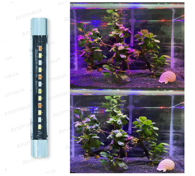 T4-20F(2.5W) Glass Best Aquarium Submersible LED Light/Lamp for Fish Tank SUITS UPTO 1.5 FEET