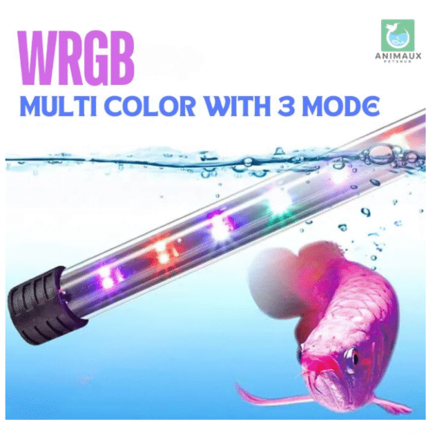 Quanlong (T4-600B) Submersible Aquarium LED Light for Fish Tank 2.5 Feet (60-80 CM) | WRGB Multi Colour with 3 Mode | Under Water LED Lamp with 80% Energy Saving (Length - 58.5CM/8W)