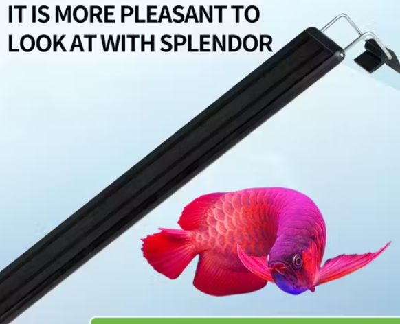 3.JPEG
