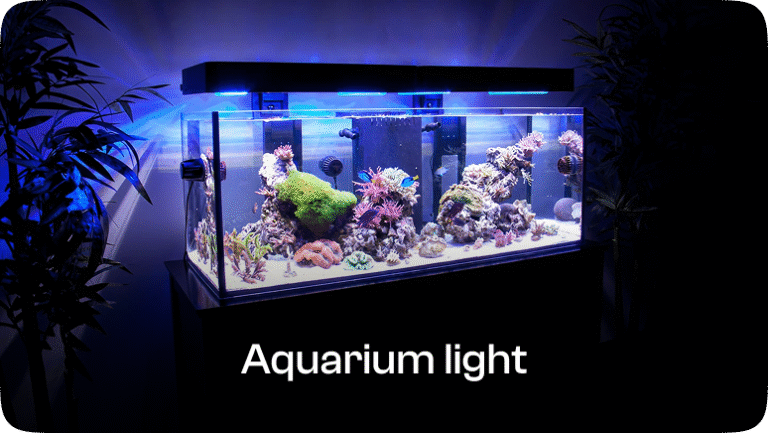 Component 10