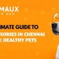 Your Ultimate Guide to Dog Accessories in Chennai for Happy, Healthy Pets