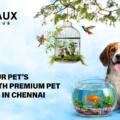 Upgrade Your Pet’s Lifestyle with Premium Pet Accessories in Chennai